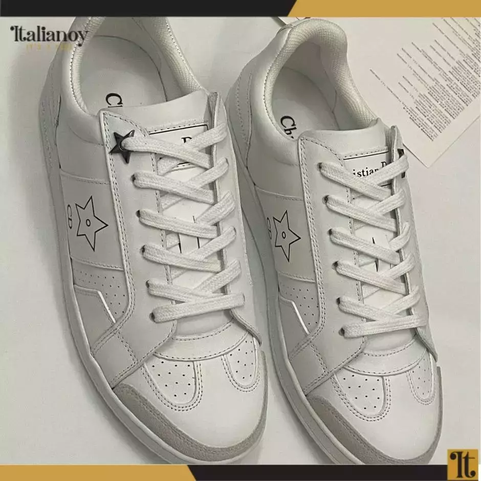 DIOR STAR SNEAKER White Calfskin, Mesh and Suede