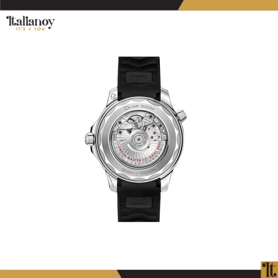 Diver 300m Co‑Axial Master Chronometer White-Black Rubber