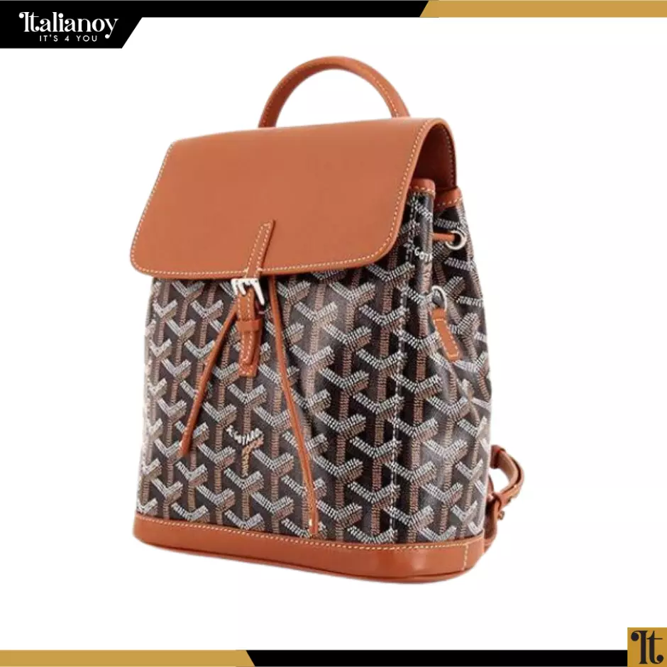 GOYARD ALPIN BACKPACK BAG