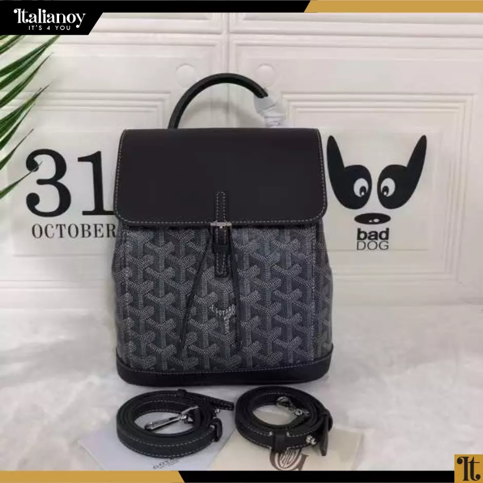 GOYARD ALPIN BACKPACK BAG